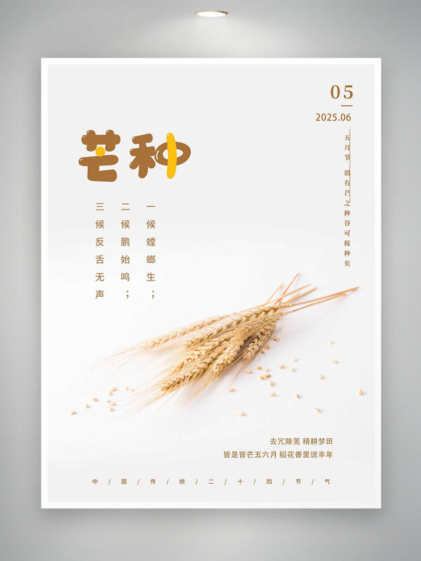 极简背景金色麦穗插画芒种节气海报