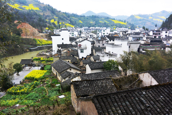 白墙黑瓦的建筑和周围美丽的水乡景色