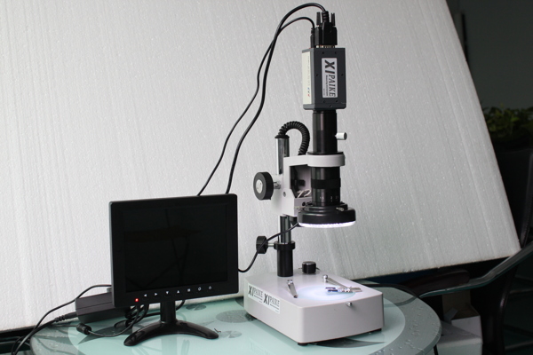 视频显微镜图片