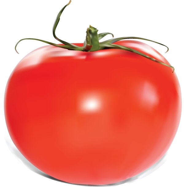 休闲有机蔬菜西红柿