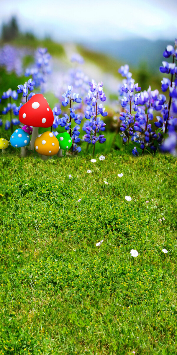 鲜艳花朵与蘑菇等影楼摄影背景图片