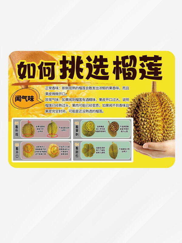 黄色背景榴莲挑选技巧方法