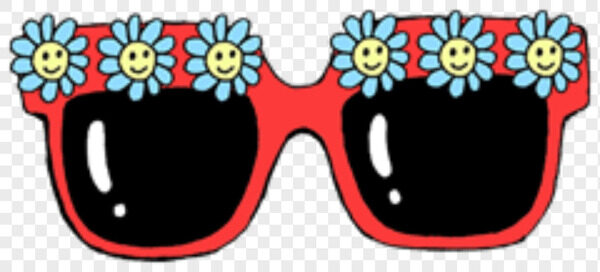 红色边框黑色墨镜蓝色小菊花装饰