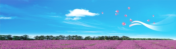 蓝天白云花海元素广告背景