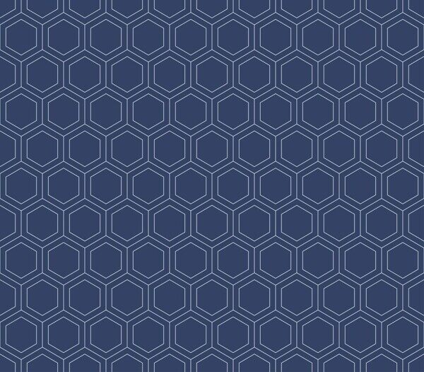 六边形交错排版蓝底白线深色背景墙纹理