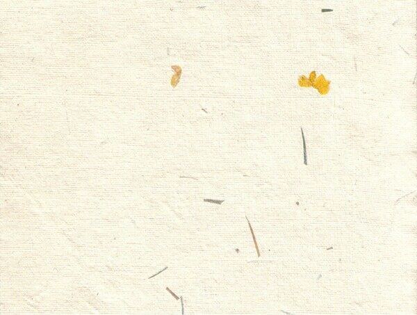 米色留白与微痕之间秋日诗意纸张纹理