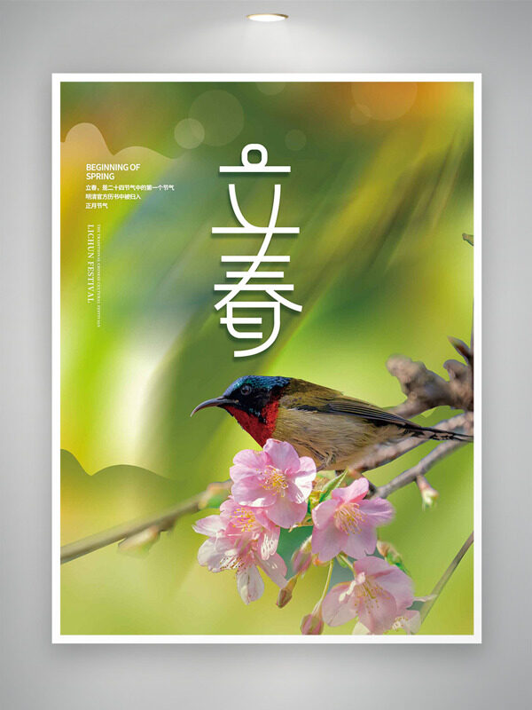 立春节气花鸟插画绿色主题海报