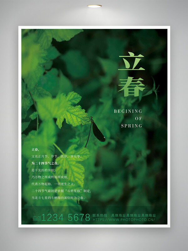 绿叶背景立春时节万物复苏海报