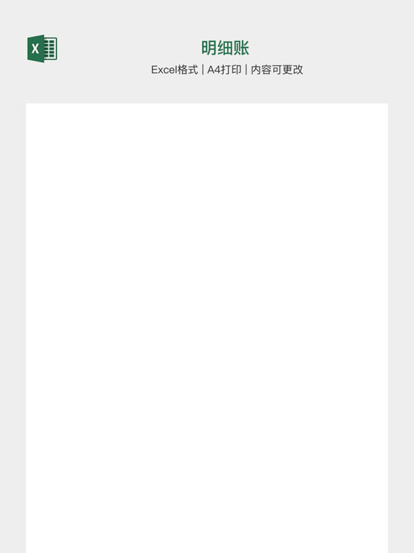 明细账