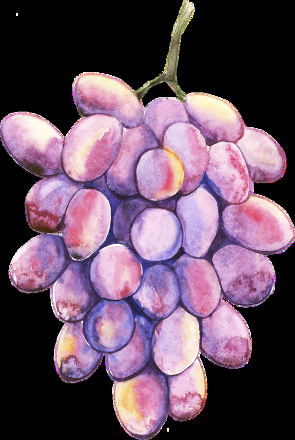 水果葡萄png透明素材