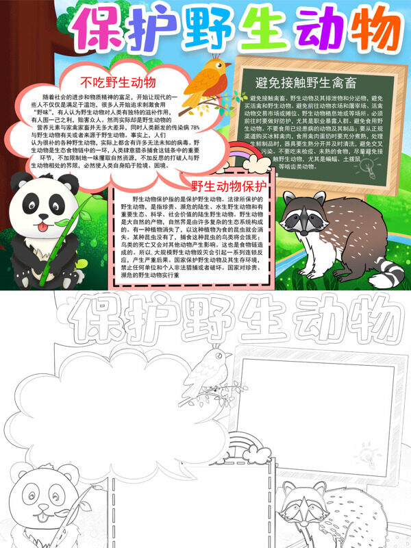 保护野生动物不食野生动植物手抄报