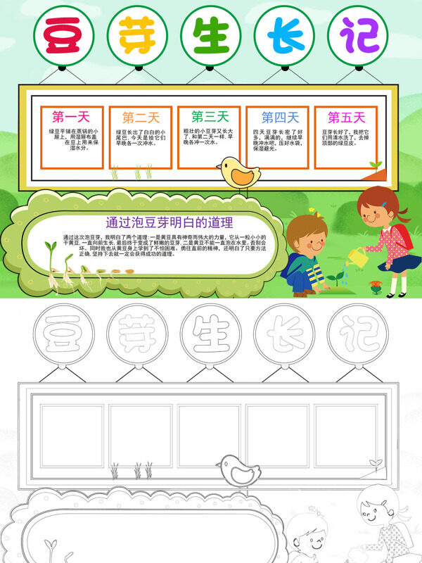豆芽生长记豆芽成长手抄报