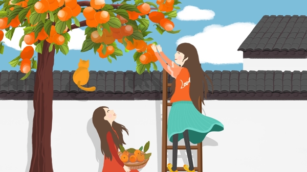 寒露爬梯子摘柑橘的姐妹