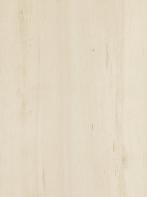 桦木木纹纹理背景图案贴图原木浅色