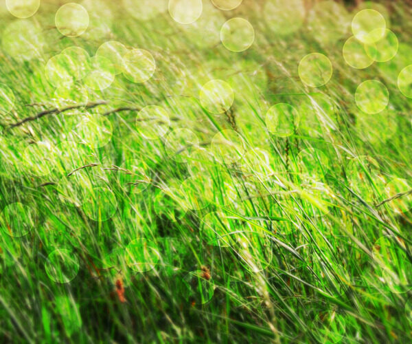 草绿色自然背景
