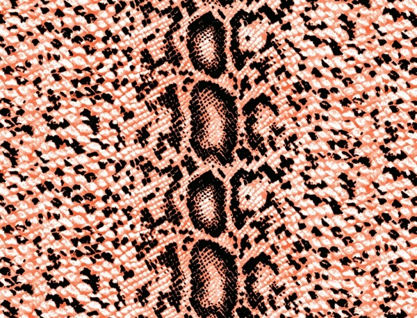 蛇皮蛇纹印花图片