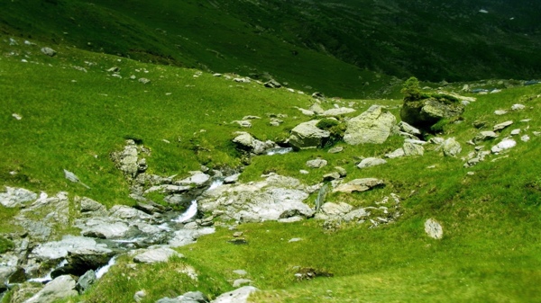 高原草地水沟风景图片