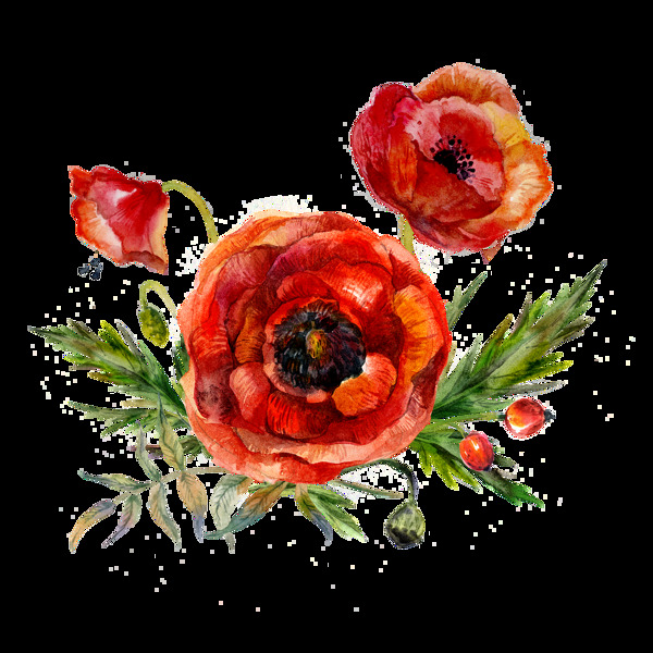 红色花卉图片素材