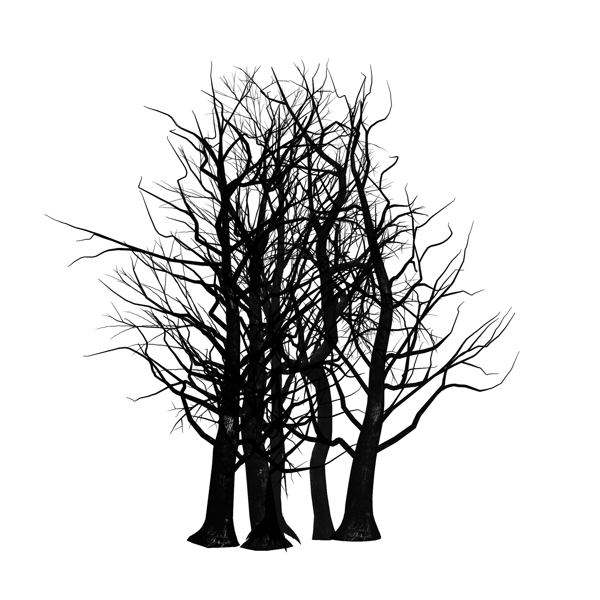 冬季黑色树木素材可商用