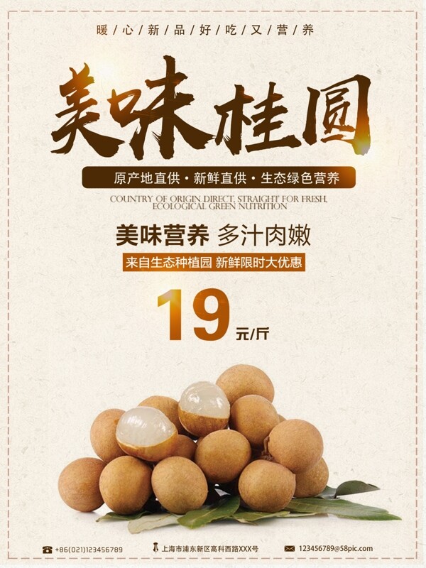 复古中国风美食桂圆商业海报设计