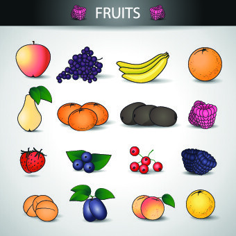 不同的水果矢量图标