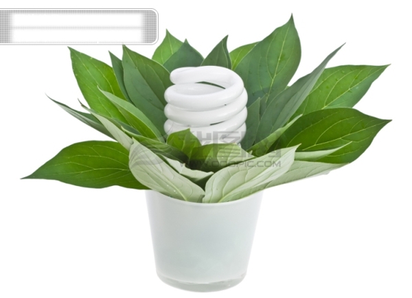 绿色植物与节能灯图片素材