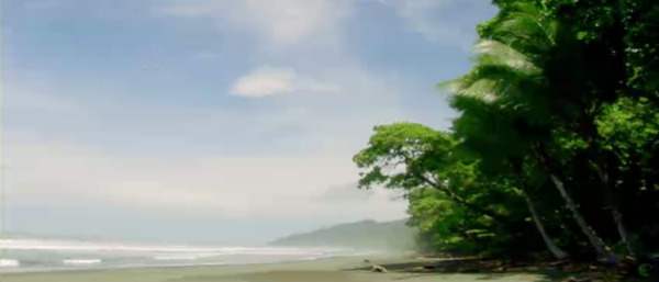 蓝天椰树海滩海岸风光高清实拍视频素材