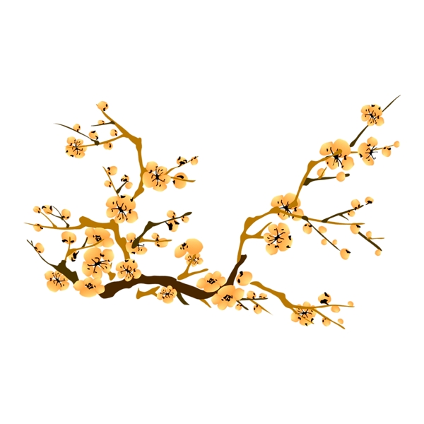 中国风装饰花枝透明素材