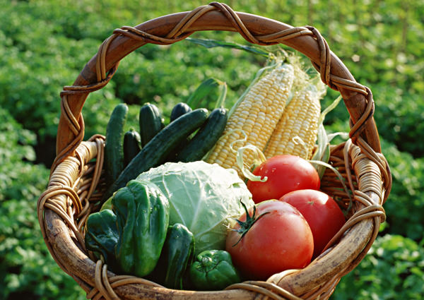 一篮蔬菜图片