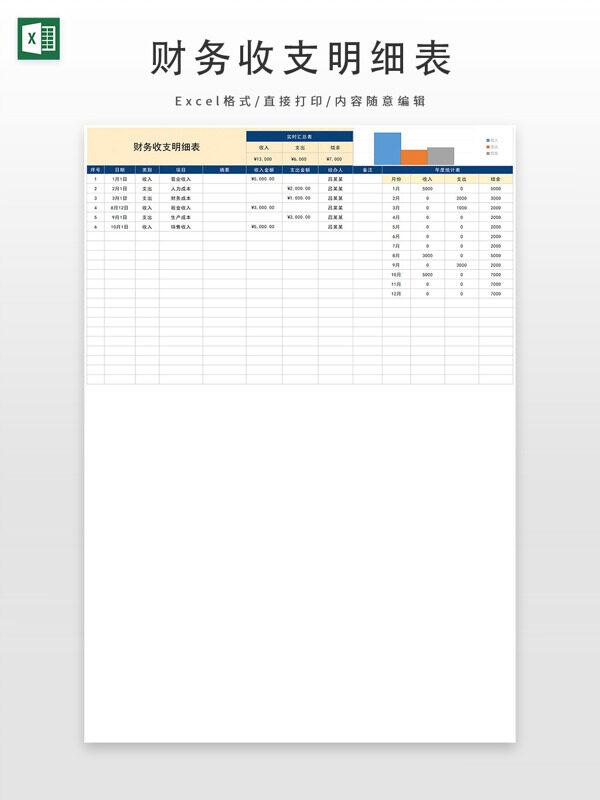 财务收支明细表